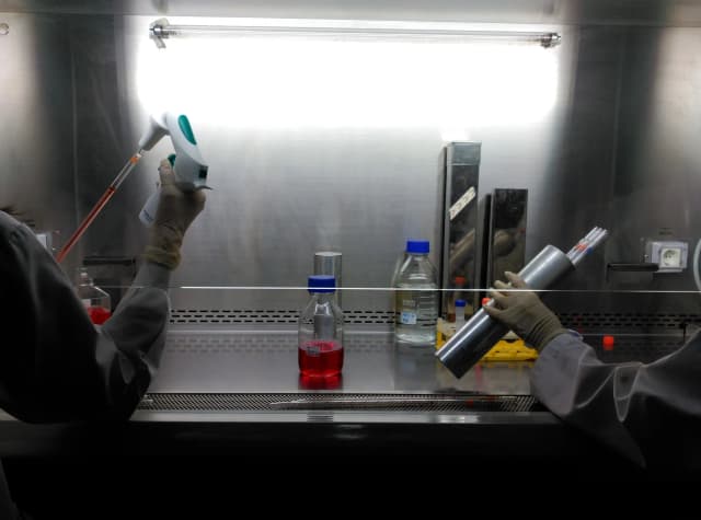 Working at at the lob in vitro cell culture