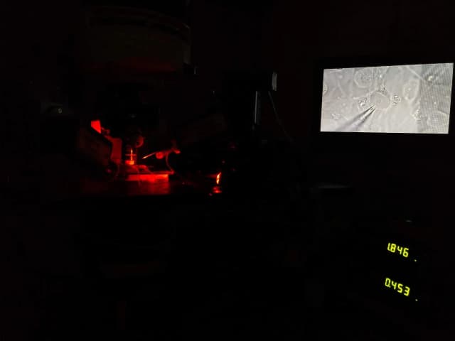 Electrophysiology setup and cell culture showing in the screen