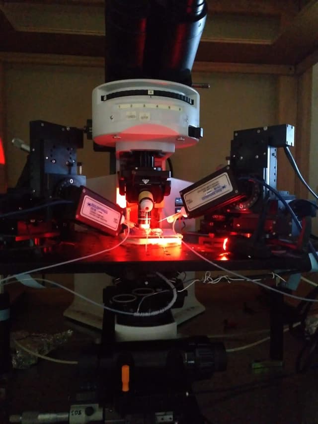 Electrophysiology setup in the dark with red light