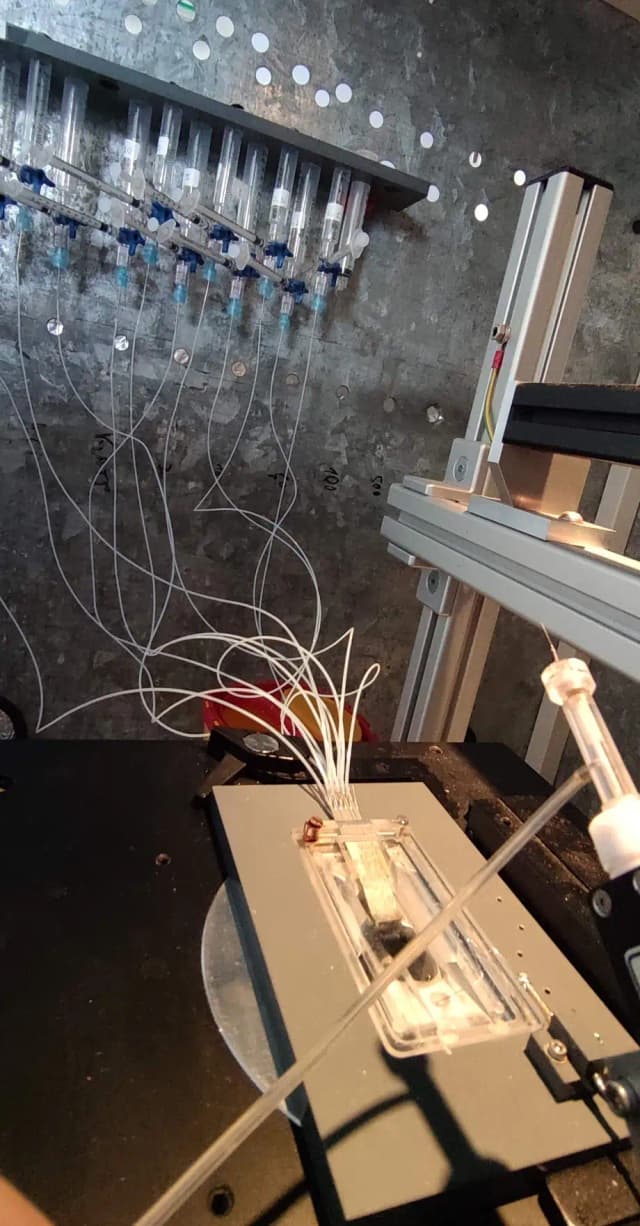 Stage of electrophysiology setup